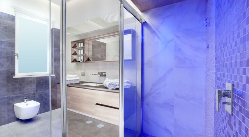 Photo of The Olive Palm