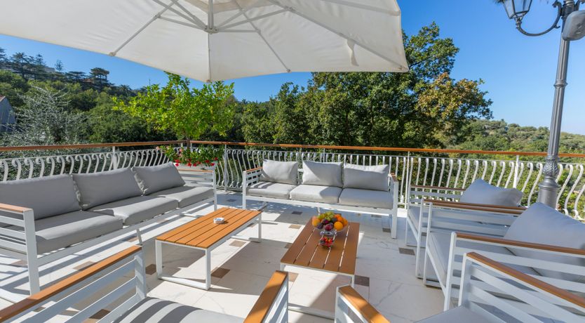 Photo of The Olive Palm