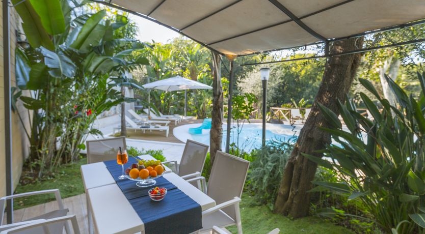 Photo of The Olive Palm