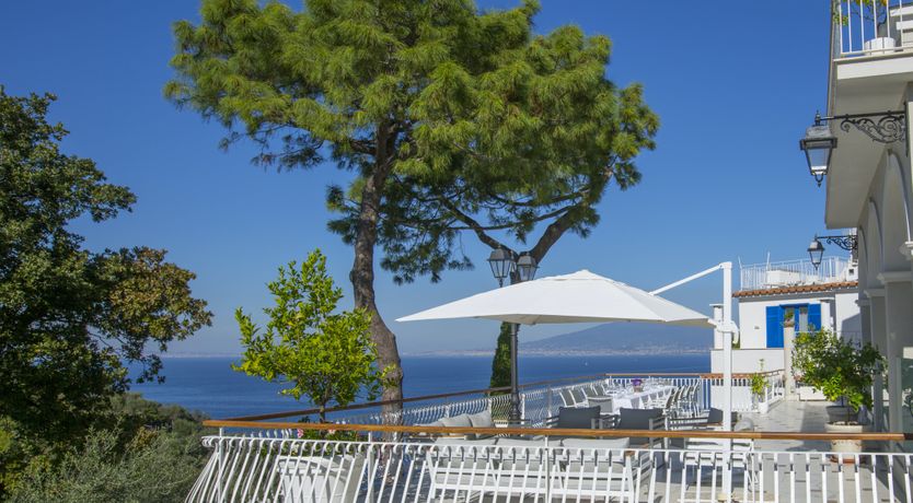 Photo of The Olive Palm