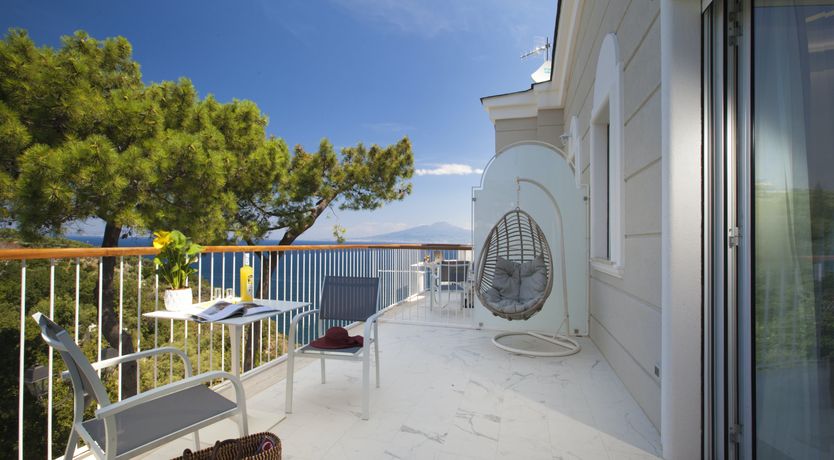 Photo of The Olive Palm