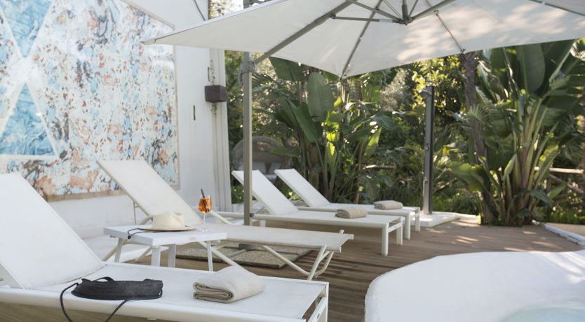 Photo of The Olive Palm