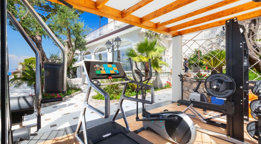 Photo of The Olive Palm