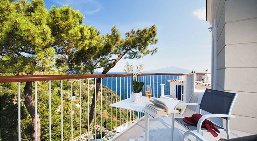 Photo of The Olive Palm