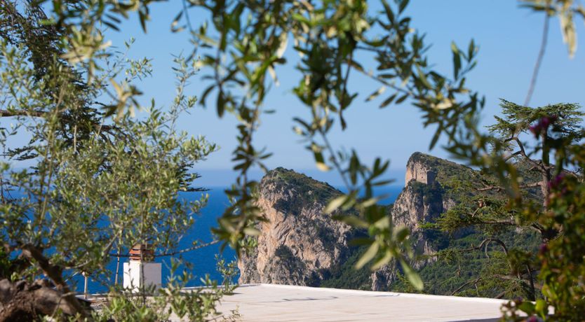 Photo of A Summer's Dream