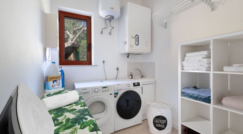 Photo of A Summer's Dream