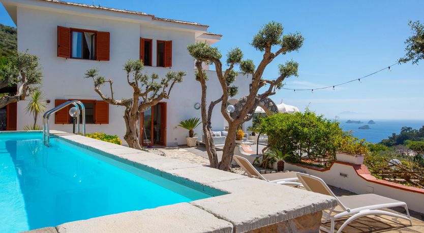 Photo of A Summer's Dream