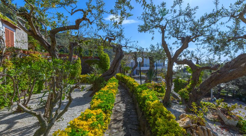 Photo of A Summer's Dream