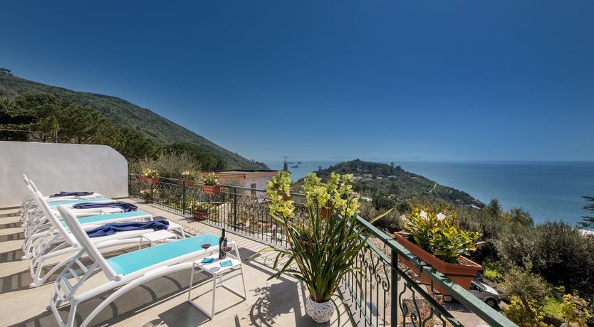 Photo of A Summer's Dream