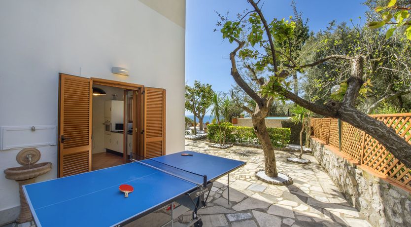 Photo of A Summer's Dream