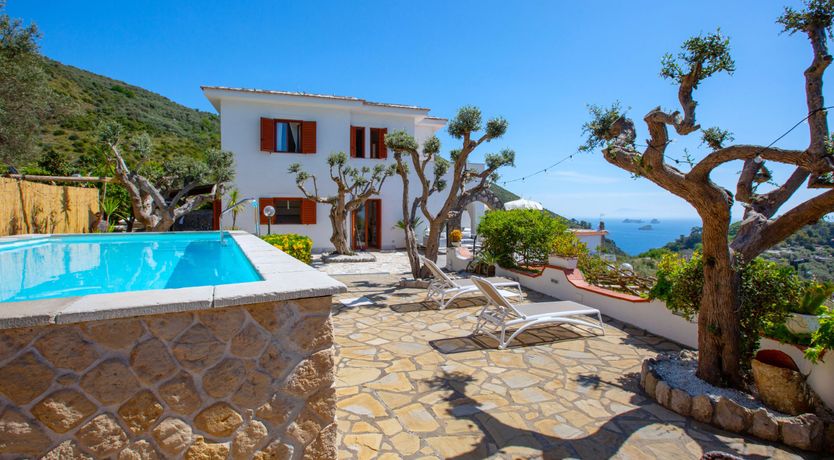 Photo of A Summer's Dream