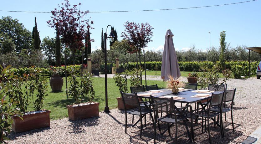 Photo of Pastel Daydreams