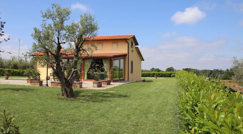 Photo of Pastel Daydreams