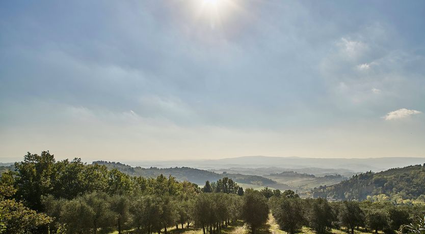 Photo of Lavender & Sunshine