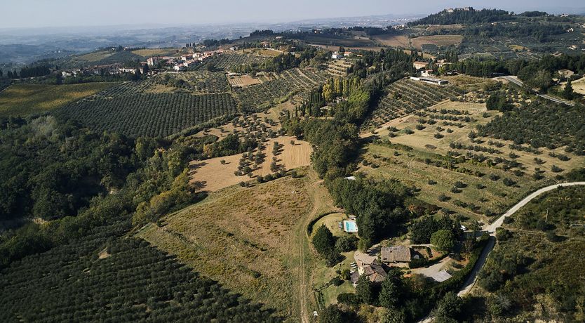 Photo of Lavender & Sunshine