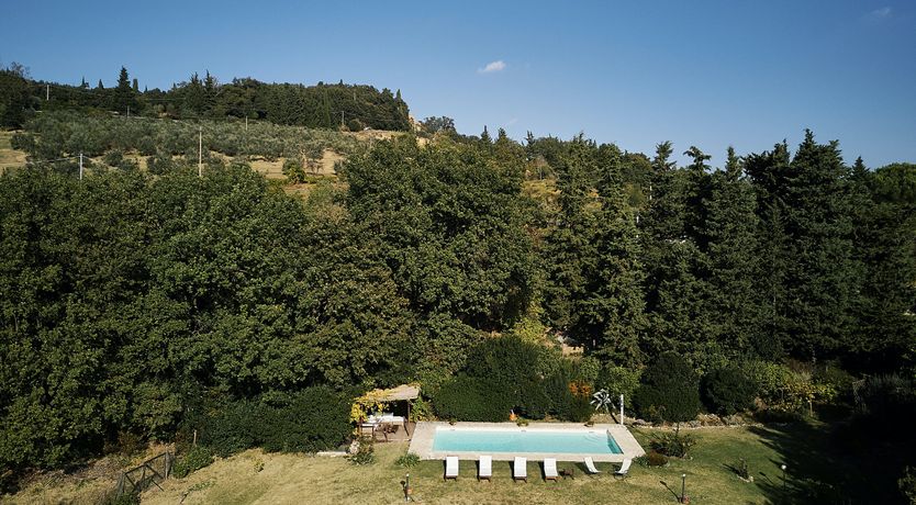 Photo of Lavender & Sunshine