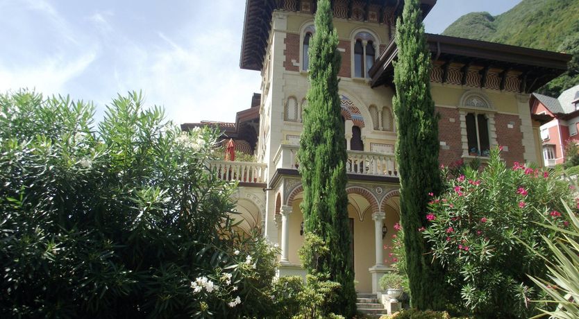 Photo of Oak Leaves & Stars