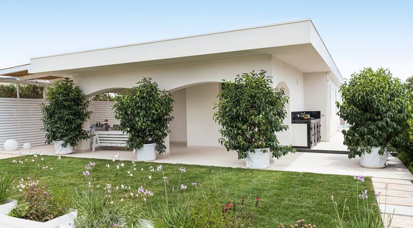 Photo of The Seagrass