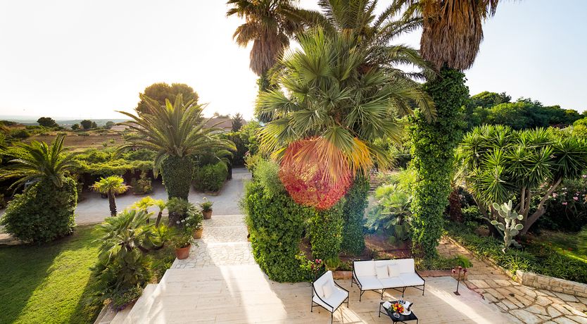 Photo of Palms & Pearls