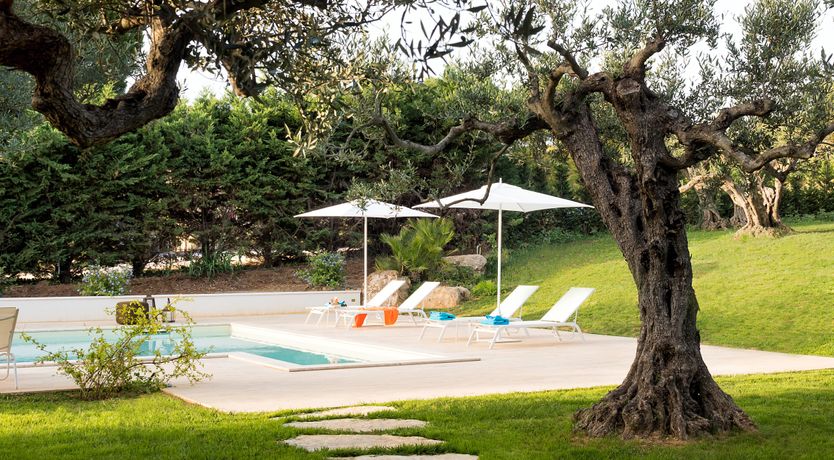 Photo of Palms & Pearls