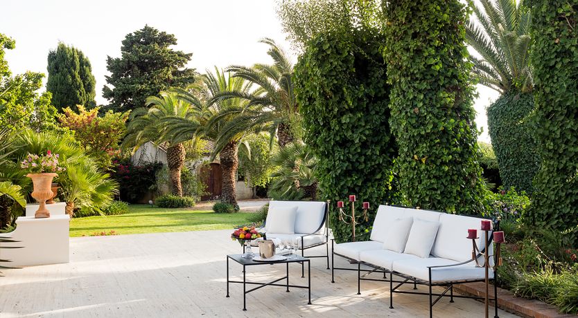 Photo of Palms & Pearls