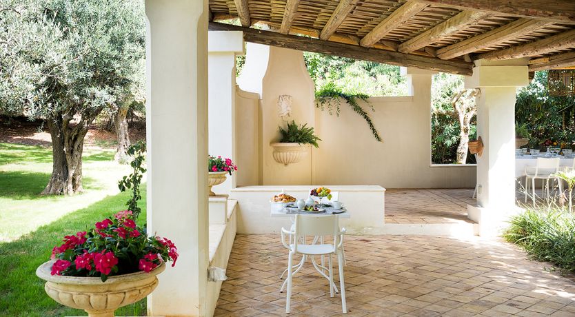 Photo of Palms & Pearls