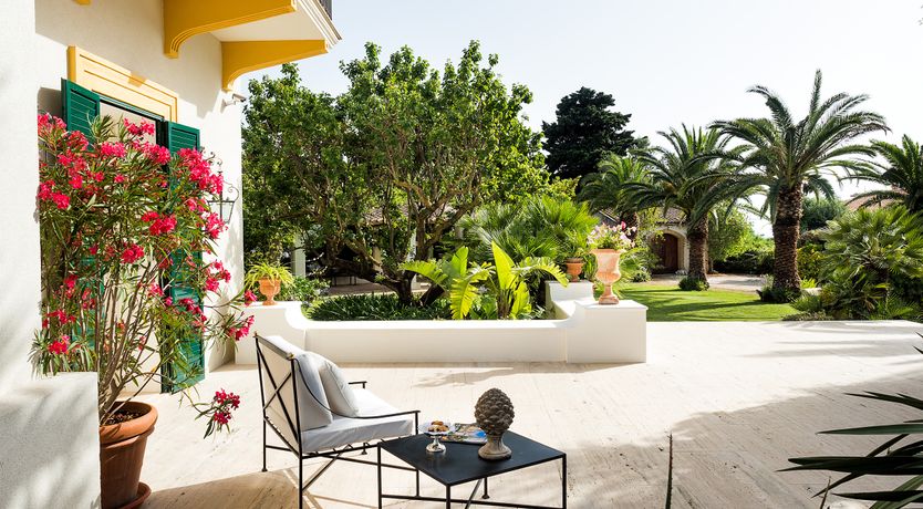 Photo of Palms & Pearls