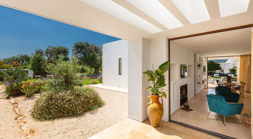 Photo of Sweet Olive