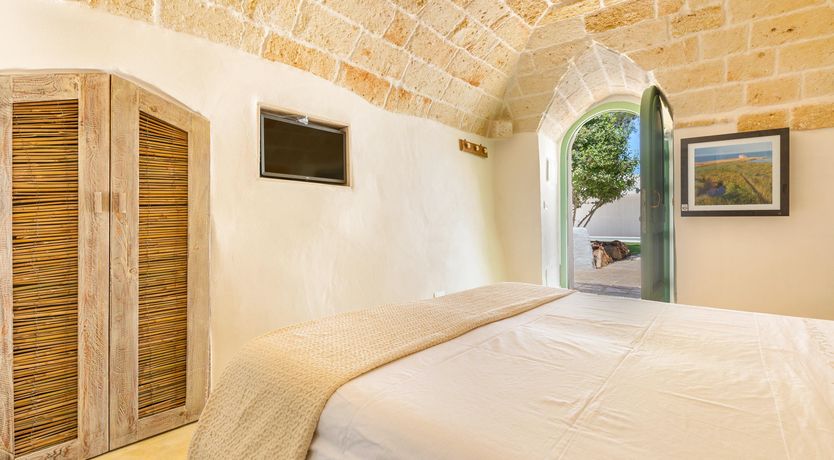 Photo of Sweet Olive