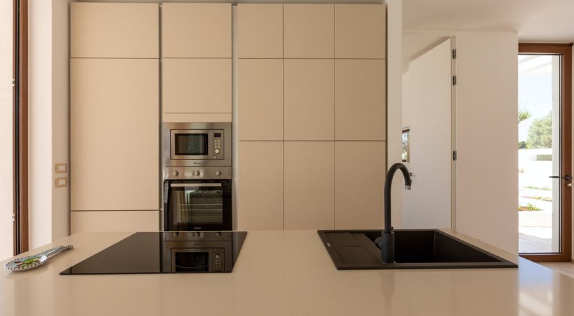 Photo of Sweet Olive