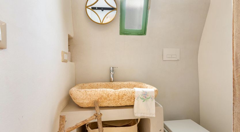 Photo of Sweet Olive