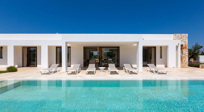 Photo of Sweet Olive