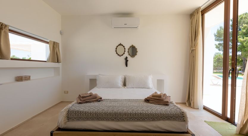 Photo of Sweet Olive