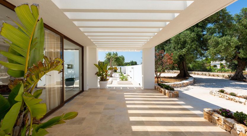 Photo of Sweet Olive