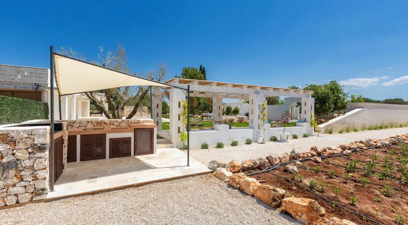 Photo of Sweet Olive