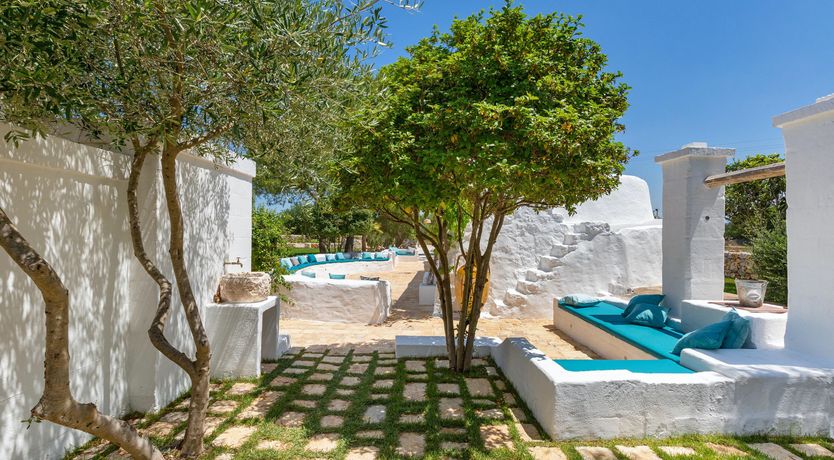 Photo of Sweet Olive