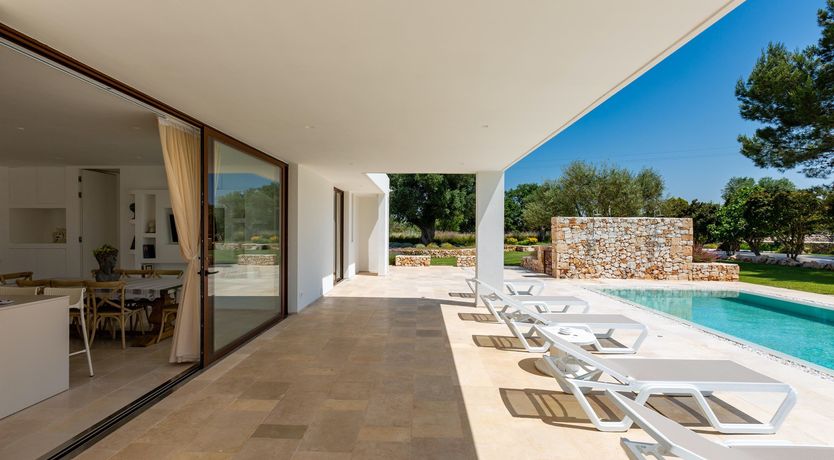 Photo of Sweet Olive