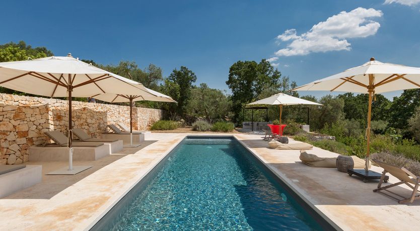 Photo of The Luscious Orange