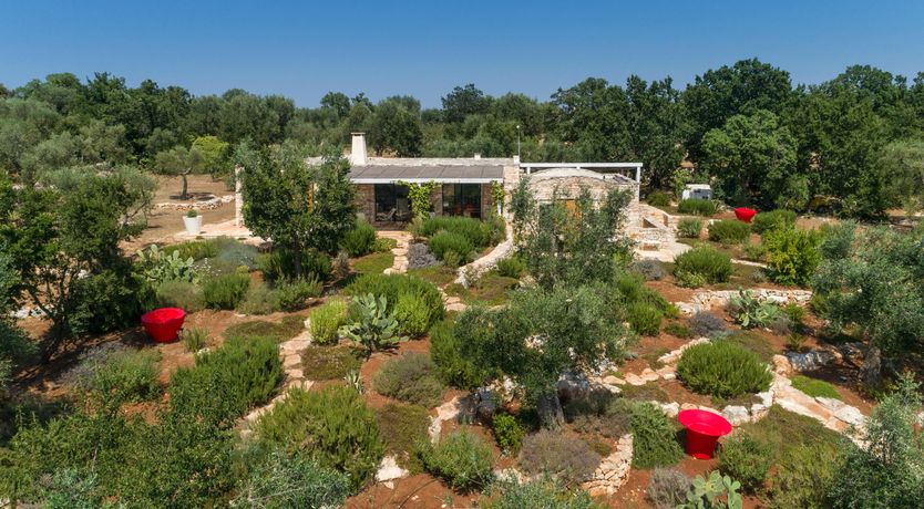 Photo of The Luscious Orange