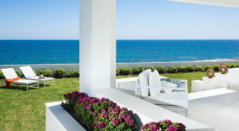 Photo of The Flowering Vine