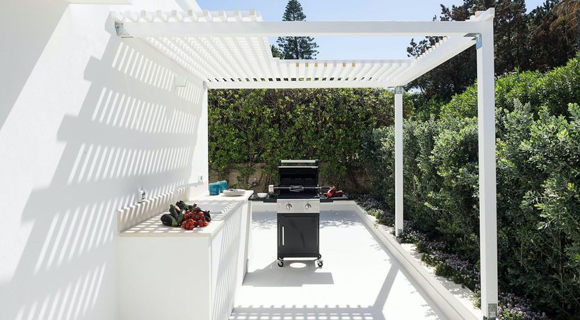 Photo of The Flowering Vine