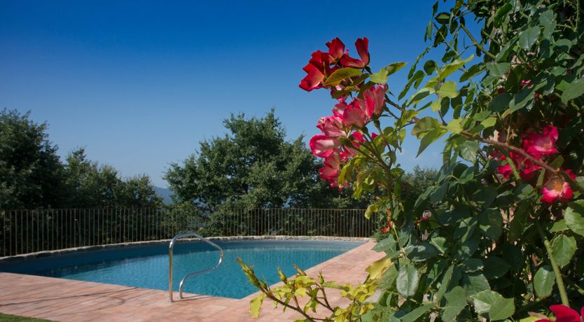 Photo of The Tasteful Tree