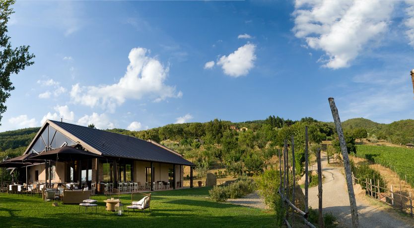 Photo of The Tasteful Tree