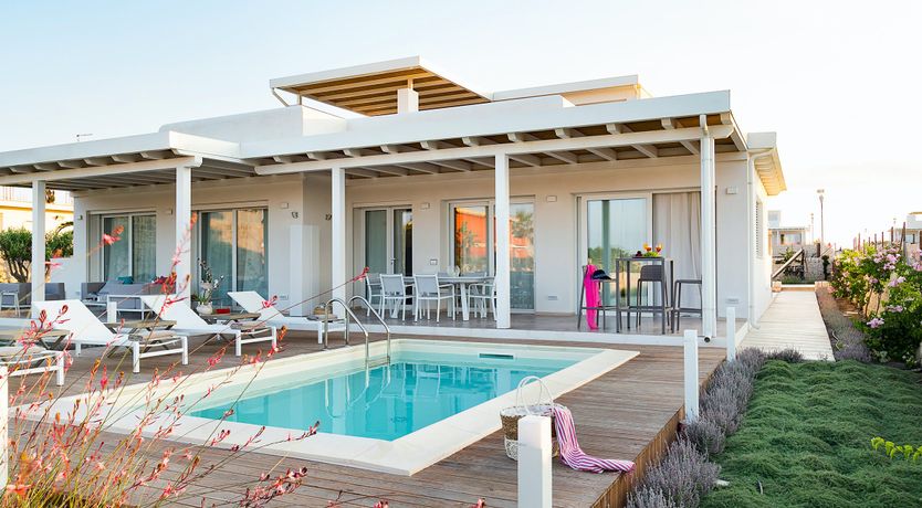 Photo of Pine Trees & Palms
