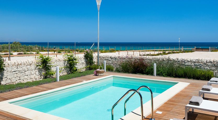 Photo of Pine Trees & Palms