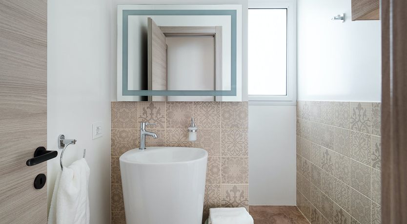 Photo of Pine Trees & Palms