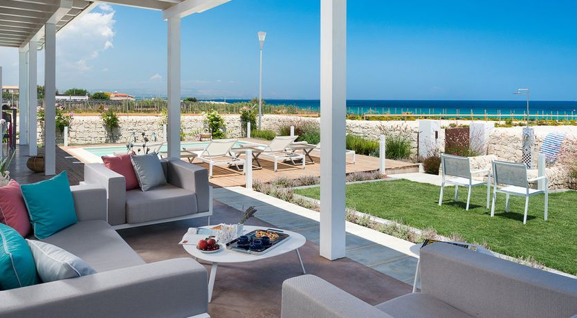 Photo of Pine Trees & Palms