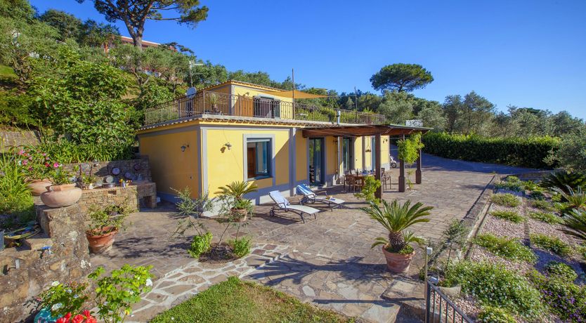 Photo of Painted Paradise