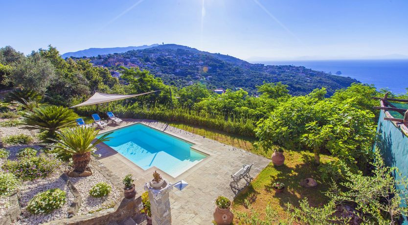 Photo of Painted Paradise