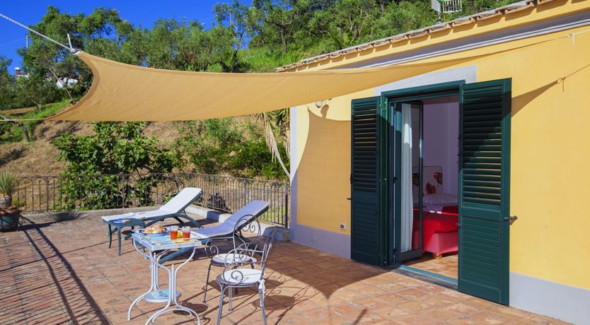 Photo of Painted Paradise